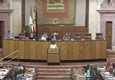 [vídeo] Proyecto de Ley de Atención Temprana