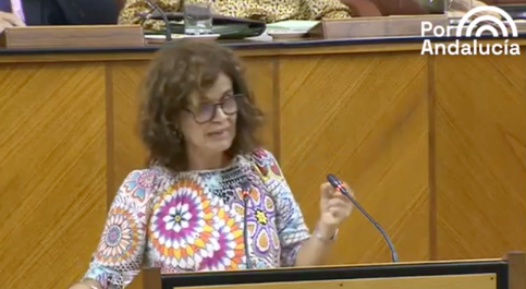 @GC_Esperanza de #PorAndalucía reprocha al #PP que use las instituciones de Andalucía para lavarle la cara a #Feijoó y que anteponga debates vacíos sobre la sedición a los problemas reales de los andaluces/zas